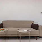 Kiwi *