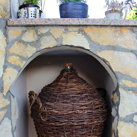 Kiwi Apartment
