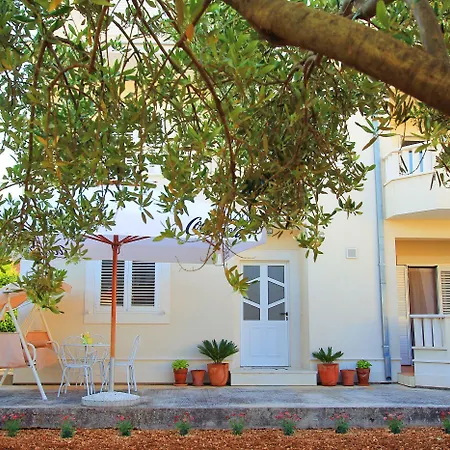 Kiwi Trogir
